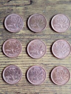 2006 Canadian 1 Cent Collectible Coins - Copper Tones (Lot of 9)
